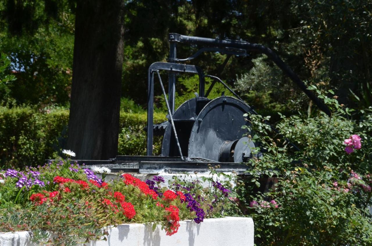 Casa Da Avo Genoveva ξενώνας Tomar Εξωτερικό φωτογραφία