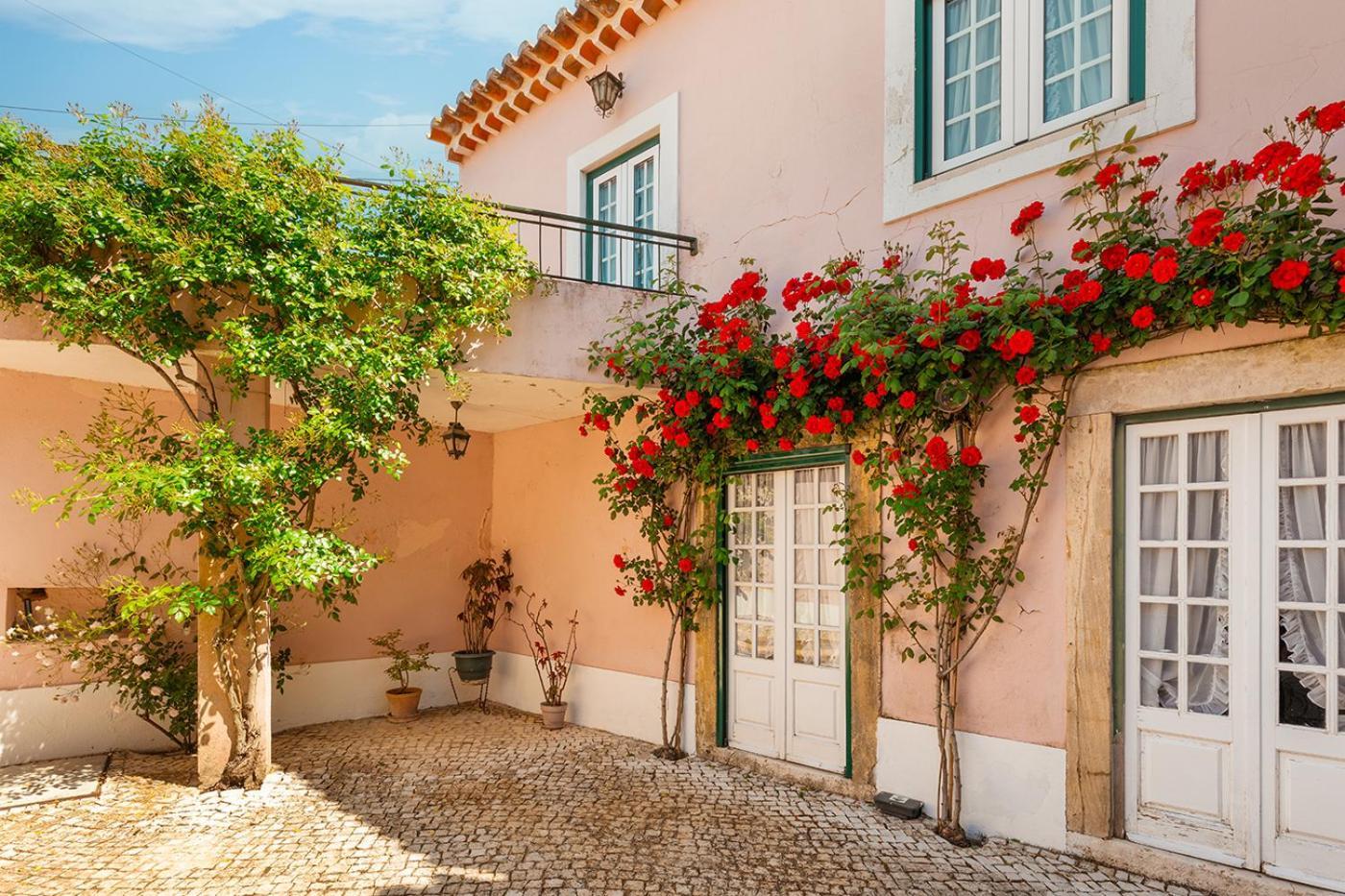 Casa Da Avo Genoveva ξενώνας Tomar Εξωτερικό φωτογραφία