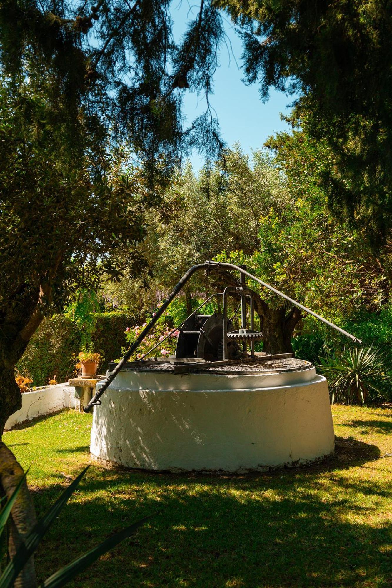 Casa Da Avo Genoveva ξενώνας Tomar Εξωτερικό φωτογραφία