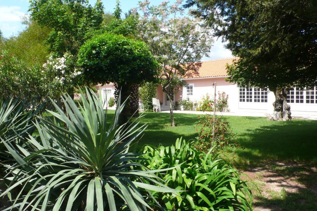 Casa Da Avo Genoveva ξενώνας Tomar Εξωτερικό φωτογραφία