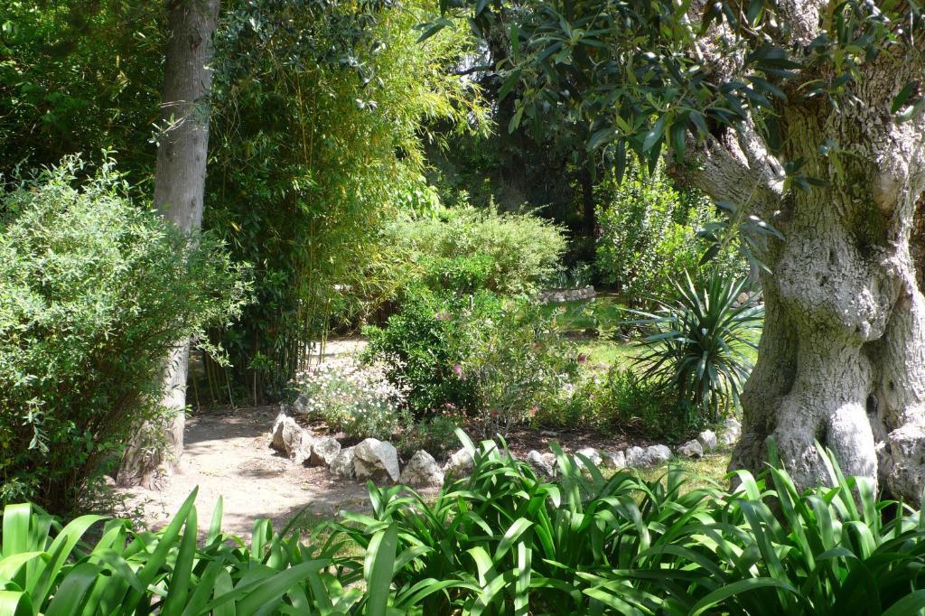 Casa Da Avo Genoveva ξενώνας Tomar Εξωτερικό φωτογραφία